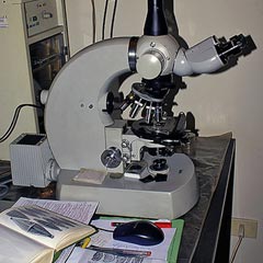 Quién inventó el microscopio? - Saberia